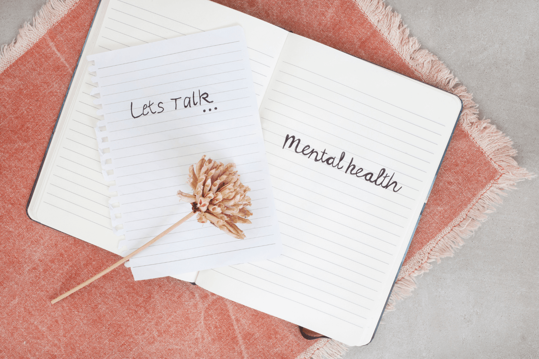 Postpartum Mental Health Support